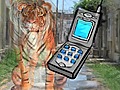 TigerWoodsCommunityService