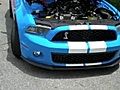 LocalMuscle2010MustangGT500
