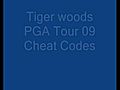 TigerWoodsPGATour09PSPCheatCodesPasswords