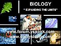 biologydictionarybiofigdiagramswallpersonlinefreewmv
