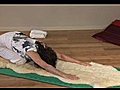 TherapeuticYogaYogaforPainRelief