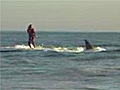 SharkSurfing