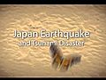 GooglePersonFinderForJapanEarthquakeandTsunami2011