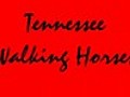 TennesseeWalkingHorses