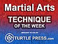 MartialArtsTechniqueoftheWeekVitalTargetStriking