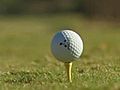 GolferPlays611RoundsInOneYear