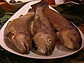 Fish039n039FunEisfischeninSchweden2