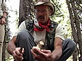 KnowYourMushroomsKnowYourMushrooms