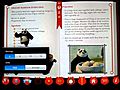 DreamWorks039KungFuPanda2InteractiveCookbookByCastleBuildersIL