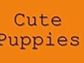 CutePuppies