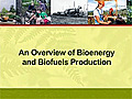 BioenergyandBiofuelsAnOverviewofBioenergyandBiofuelsProduction