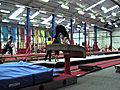 GymnasticsFunChrisBurnsandJamieStanley