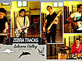 ZebraTracksSiliconeValleyOfficialVideo2010