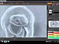 OtterPatronusTimeLapseVideodraw