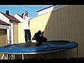 TrampolineFail