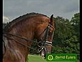 horsesmaneater