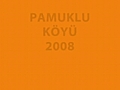 Pamukluky2008