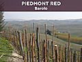 PiedmontRedBarolo