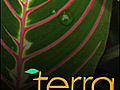 TERRA609SpacedOut