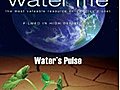 WaterLifeWatersPulse