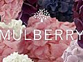 MulberrySS11FlowerFilm
