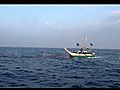 SriLankaFishingbravefishermeninactioncruisingontheindianoceantochasethunas04