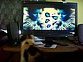 KittenWatchingRudeBoyMusicVideo