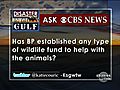 AskCBSNewsHasBPEstablishedAWildlifeFund