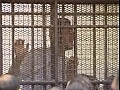 Egyptconvicts26forHezbollahlink