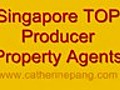 SingaporeTopPropertyAgencyCatherinePang