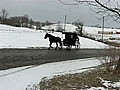 AmishBuggySkiing
