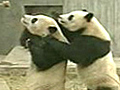 Pandasslipslideandplay