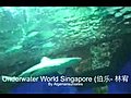 SingaporeUnderwaterWorld